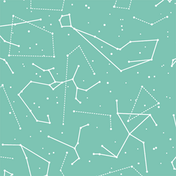 Star Charts in Succulent