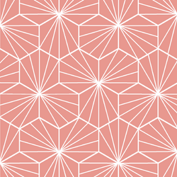Radiate in Tulip