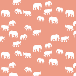 Elephant Silhouette in Grapefruit