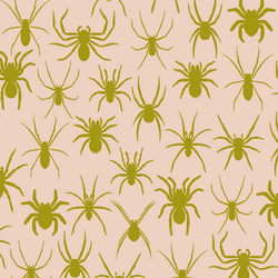 Spider Crawl in Shell