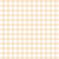 Gingham in Peach