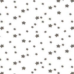 Star Light in Stone on White