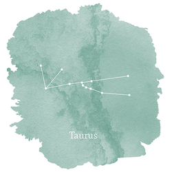 Taurus Sign Panel in Aspen