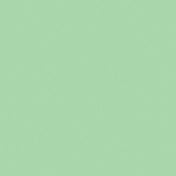 Solid in Mint
