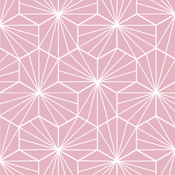 Radiate in Carnation