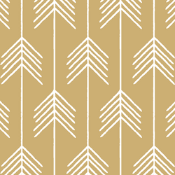 Vanes in Golden Canyon