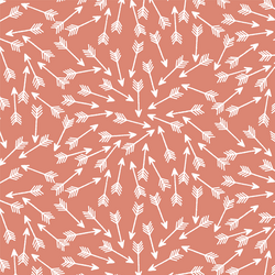 Arrows in Desert Rose