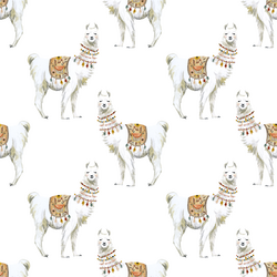 Llamas in White