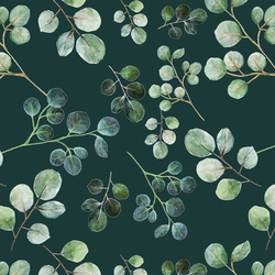 Eucalyptus Leaf in Deep Glade