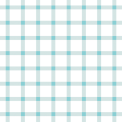 Summer Gingham Check in Raindrop