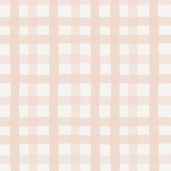 Gingham in Blush