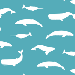 Whale Silhouette in Lagoon