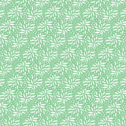 Seeds in Leaf Green