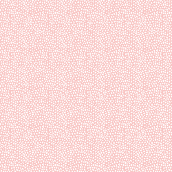 Texture in Seashell