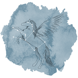 Pegasus Panel in Marine