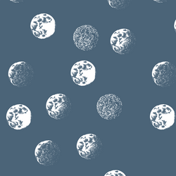 Moondance in Twilight