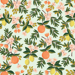 Citrus Floral in Mint