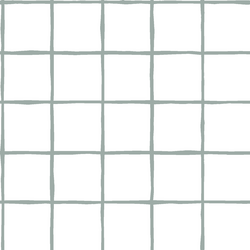 Windowpane in Eucalyptus on White