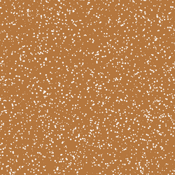 Stardust in Ginger