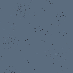 Freckles in Sea Star