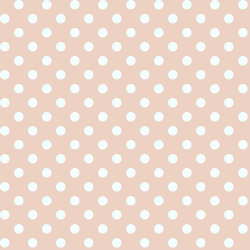 Candy Dot in Shell