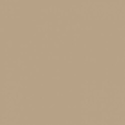Solid in Light Caramel