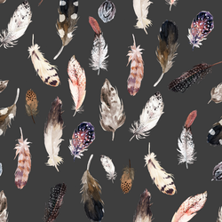 Falling Feathers in Onyx