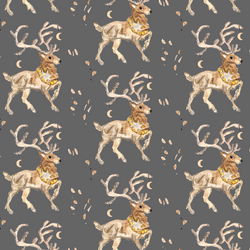 Reindeer in Evening Dusk