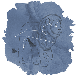 Leo Panel in Midnight