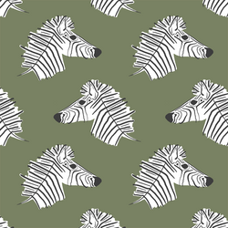 Burchell Zebra in Olive