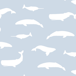 Whale Silhouette in Cirrus