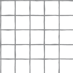 Windowpane in Smoke on White