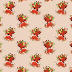 Little Foxy in Shell