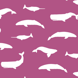 Whale Silhouette in Azalea