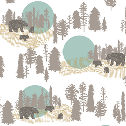 A Walk in the Woods in Aspen and White