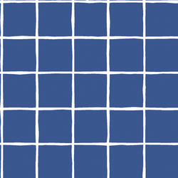 Windowpane in Blue Jay