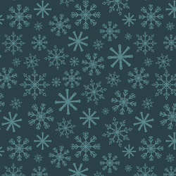 Snowflakes in Winter Night