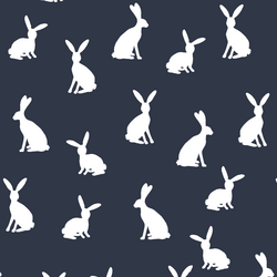 Cottontail Silhouette in Eclipse