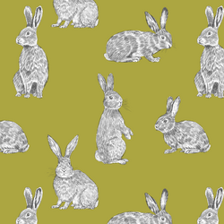 Bunny Hop in Zest