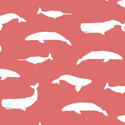 Whale Silhouette in Poppy