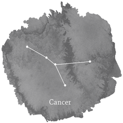 Cancer Sign Panel in Charcoal
