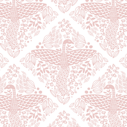 Proud Peacock in Blush