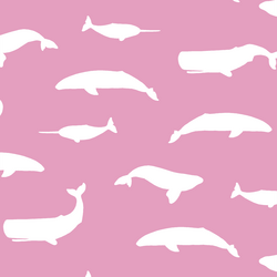 Whale Silhouette in Begonia