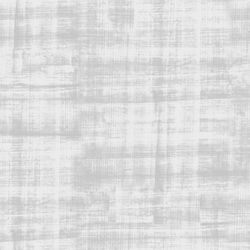 Texture in Light Gray