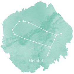 Gemini Sign Panel in Succulent