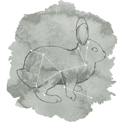 Lepus Panel in Sage