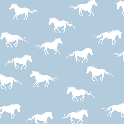 Horse Silhouette in Sky