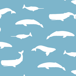 Whale Silhouette in Surf