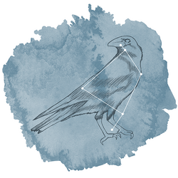 Corvus Panel in Marine