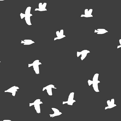 Flock Silhouette in Onyx